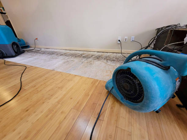 Professional Water Damage Repair technician working in Orland, CA